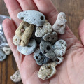 One Small Hag Stone (Adder Stone) One Small Hag Stone (Adder Stone)