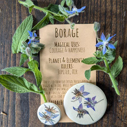 Botanical Charm - Borage