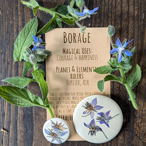 Botanical Charm - Borage Botanical Charm - Borage