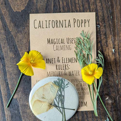 Botanical Charm - California Poppy