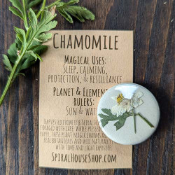 Botanical Charm - Chamomile
