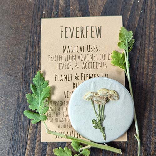Botanical Charm - Feverfew