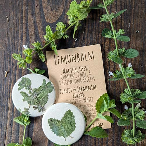 Botanical Charm - Lemon Balm Botanical Charm - Lemon Balm