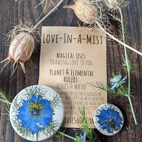 Botanical Charm - Love-in-a-Mist Botanical Charm - Love-in-a-Mist