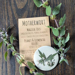 Botanical Charm - Motherwort Botanical Charm - Motherwort