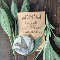 Botanical Charm - Garden Sage