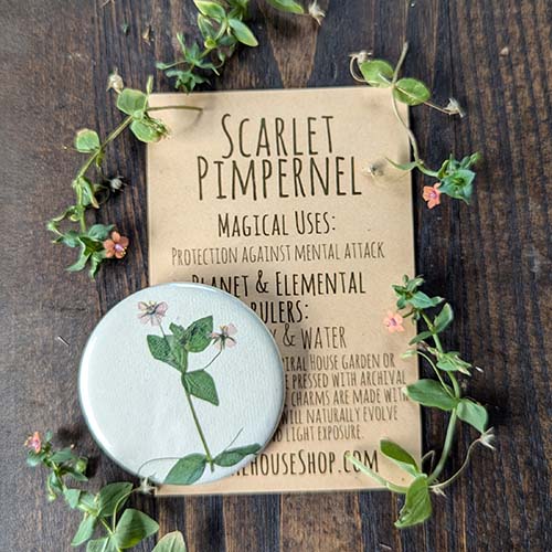 Botanical Charm -Scarlet Pimpernel