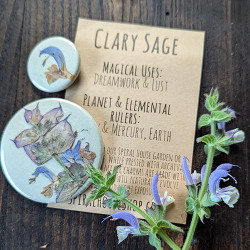 Botanical Charm - Clary Sage