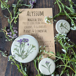 Botanical Charm - Alyssum