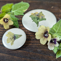 Botanical Charm - Henbane