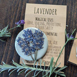 Botanical Charm - Lavender