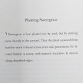 Braiding Sweetgrass Braiding Sweetgrass