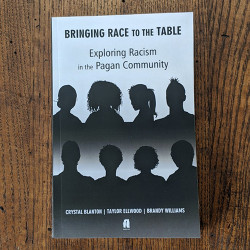 Bringing Race to the Table Bringing Race to the Table