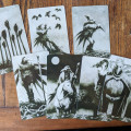 Murder of Crows Tarot 