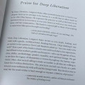 Deep Liberation: Shamanic Teachings for Reclaiming Wholeness in a Culture of Trauma 