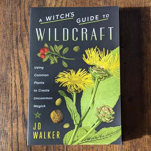 A Witch's Guide to Wildcraft: Using Common Plants to Create Uncommon Magick A Witch's Guide to Wildcraft: Using Common Plants to Create Uncommon Magick