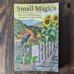 Small Magics: Practical Secrets from an Appalachian Village Witch Small Magics: Practical Secrets from an Appalachian Village Witch