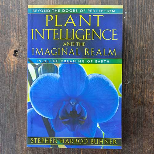 Plant Intelligence and the Imaginal Realm: Beyond the Doors of Perception Into the Dreaming of Earth Plant Intelligence and the Imaginal Realm: Beyond the Doors of Perception Into the Dreaming of Earth