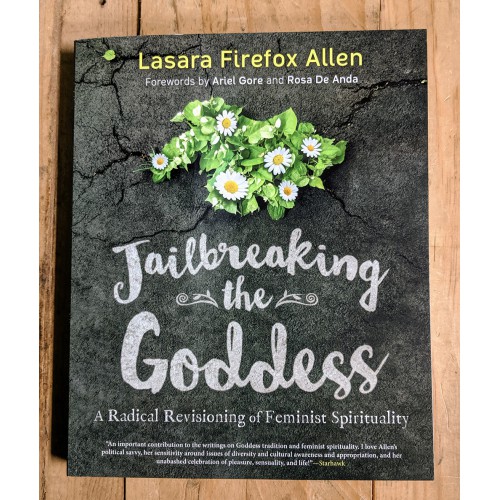 Jailbreaking the Goddess: A Radical Revisioning of Feminist Spirituality 