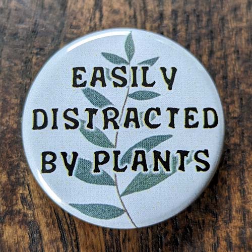 Easily Distracted By Plants Easily Distracted By Plants