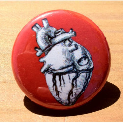 Anatomical Heart 