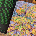 Grimoire Silvanus Zine Issue 5