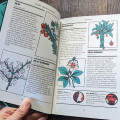 Hellebore #3 - The Malefice Issue