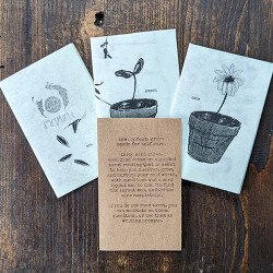 Sow Sprout Grow Tarot Spread