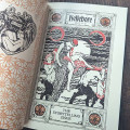 Hellebore #12: The Storytelling Issue
