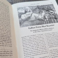 Fiddler's Green 9: Akashic Ashcan