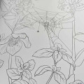 Goth Garden Adult Coloring Book