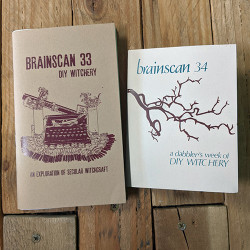 Brainscan #33 and Brainscan #34 TWO ZINE SET
