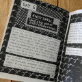 Brainscan #33 and Brainscan #34 TWO ZINE SET