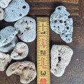 One Medium Hag Stone (Adder Stone) One Medium Hag Stone (Adder Stone)